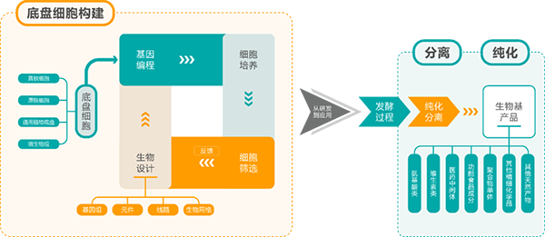 合成泛亚电竞,泛亚电竞官方,泛亚电竞官网,泛亚电竞平台学生产链条